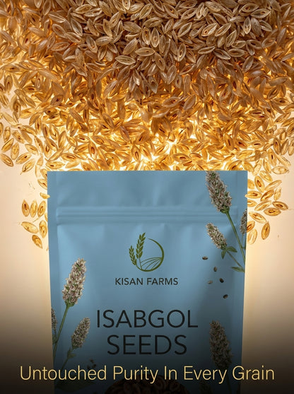 Isabgol Seeds